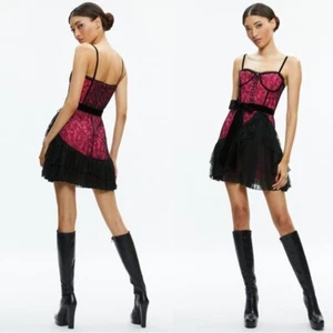 Alice + Olivia Black Hot Wild Pink Chantil Lace Corset Mini Dress Size 6 $695 - Picture 1 of 4