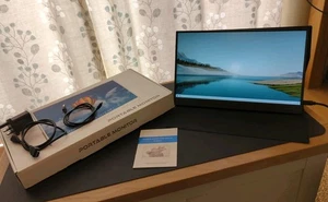 15.6 inch Portable Screen Monitor,100% sRGB 1080P USB Type-C HDMI Laptop,PC Etc - Picture 1 of 21