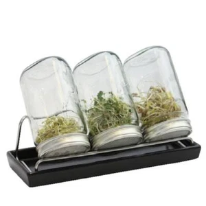 Sprossenglas System III Eschenfelder 3x 1l Set Keimglas Abtropfschale anthrazit - Bild 1 von 1