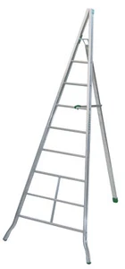 Obstbaumleiter "Agri" S600 Anzahl Sprossen: 8 - Bild 1 von 1