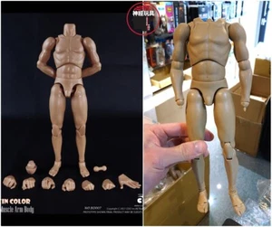 COOMODEL 1/6 Scale NO.BD007 Standard Muscle Arm BODY FOR 12" FIGURE HOT TOYS - Bild 1 von 8