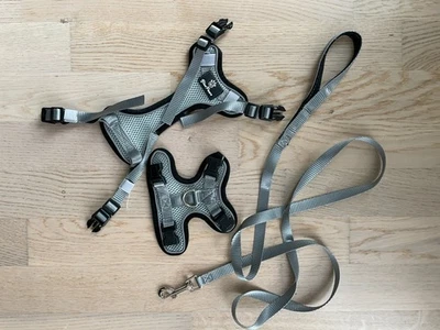 Blue Pawz Katzengeschirr mit Leine - 170 cm Gr. S Farbe Grau - Bild 1 von 4