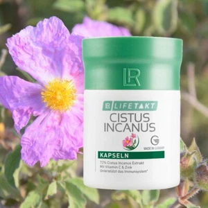 LR - Cistus Incanus Kapseln mit Zink und Vitamin C - stärkt das Immunsystem - Bild 1 von 1