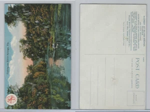 Postal, Florida, pesca en manantiales de plata, Ocklawaha, década de 1920 - Imagen 1 de 1