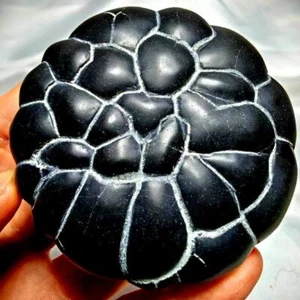 Chinese Natural Stone "Tortoise Back Pattern" Stone Moire Stone  - Picture 1 of 9