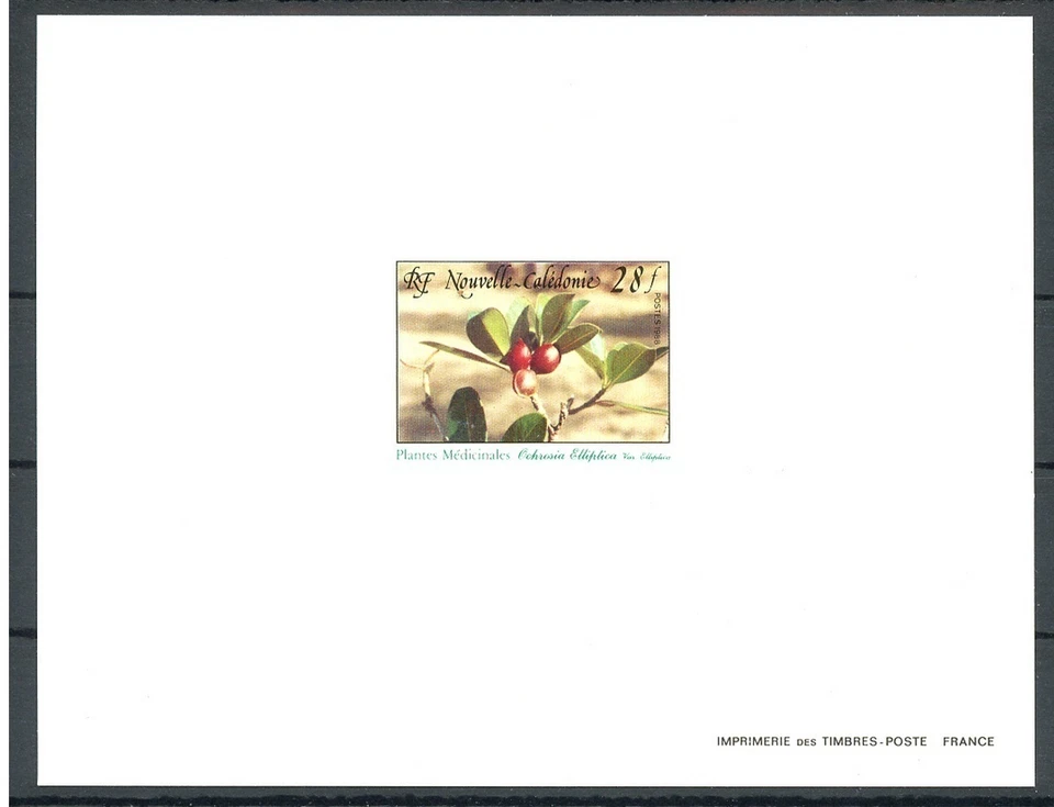Новая Каледония Sc578 Лекарственное Растение, Ochrosia Elliptica, Deluxe Proof - Изображение 1 из 1