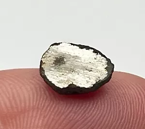 GUJBA 0.793g Polished Meteorite Half Sphere, CBa Carbonaceous, Bencubbin-Like - Picture 1 of 11