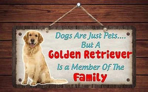 212HS Golden Retriever Is Member of Family 5""x10"" Aluminium hängendes Neuheitsschild - Bild 1 von 1