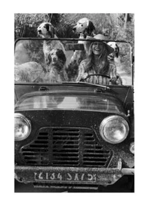 Poster Vintage Girl and Dogs Poster da parete chic Stampa di altaqualita moderno - Picture 1 of 29