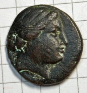 (USA) ÉOLIDE – CYMÉ Unité c. 250-190 av J-C. TB+, lartdesgents.fr P1386-G055 - Picture 1 of 4