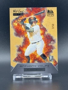 Anthony Volpe [RC] - 2023 Wild Card Matte Rookie Heat /50 NY Yankees - Picture 1 of 3