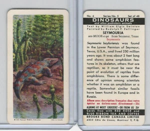 FC34-6 Brook Bond, Dinosaurier, 1963, #4 Seymouria - Bild 1 von 1