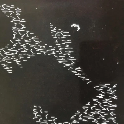 Antigua plantilla de kimono de papel japonés katagami fondo de pluma de catazoma C953 Foto 1 de 4