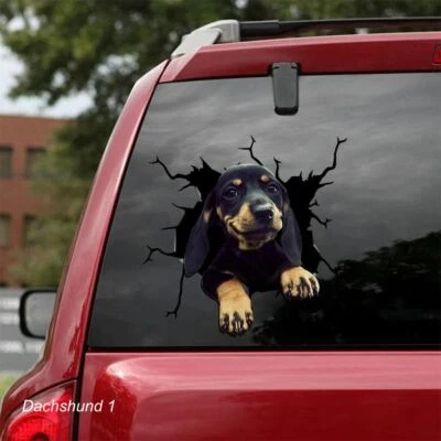 LARGE-SIZED CAR DECALS - DACHSHUND - 3 CHOICES - Image 1 of 4