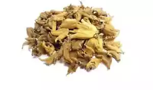 Salam Panja Salab Panja Misri Marsh Orchis Dactylorhiza Hatagirea Root whole 10g - Picture 1 of 4