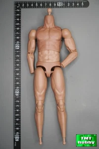 1:6 Scale ES 26071S FSB Alpha Team Leader - Body (NO HEAD HAND & FEET) - Picture 1 of 2