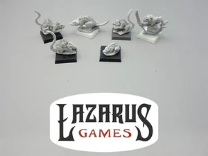 Warhammer FB AoS Grand Alliance Chaos: Skaven - Riesenratten mit Packmaster (oop) - Bild 1 von 4