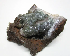 +++ Cupro Adamin xx -- Ojuela Mine, Durango, Mexiko +++ cuprian adamite - Bild 1 von 4