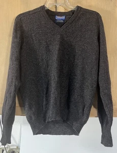 Pendleton Sweater Men's Lg Brown 100% Pure Lambs Wool V Neck Pullover *** - Picture 1 of 11