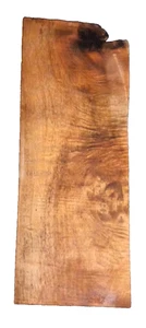 MYRTLEWOOD BURL BLANK TURNING CRAFTING WOODWORKING APPROX 20x8x1.5 IN - Picture 1 of 2
