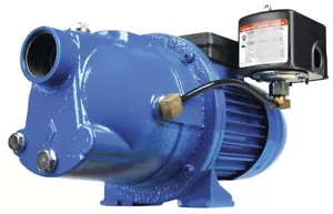 Bomba de chorro de pozo poco profundo de hierro fundido de alta resistencia de 1/2 HP motor de doble voltaje 64 PSI - Imagen 1 de 3