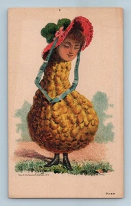 HANDELSKARTE Anthropomorphe Kürbis Frau L Crocker Büffel ehrlicher Dünger NY - Bild 1 von 2