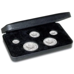 2004 Maple Leaf RCM Privy Mark - Pure Silver Fractional Set - Picture 1 of 8