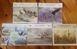 Lot 5 Vintage Remington 1971-1982 Wall Calendars Advertising Illustrated Hunting - Picture 1 of 13