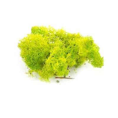 WWS Hellgrüne Lichen Modell Moos 60g - Flechte Laub Landschaft Baum Busch Hecke - Bild 1 von 4
