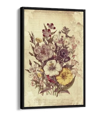 VINTAGE BOTANICAL FLOWER ILLUSTRATIONS HOME FLOAT EFFECT CANVAS WALL ART PRINT - image 1 of 4