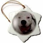 3dRose American Bulldog 3 inch Snowflake Porcelain Ornament