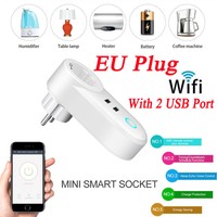 Smart Home WiFi Socket EU Plug App Remote For Alexa Echo Google 10A With 2USB P1