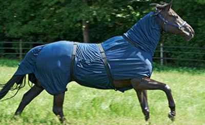 Ekzemerdecke BUSSE EXTENSIVE, Busse Ekzemerdecke mit Halsteil, Fliegendecke navy - Bild 1 von 2