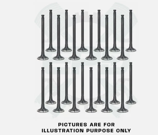 12 EXHAUST 12 INLET VALVES SET FOR BMW N57 X3 X4 X5 X6 N57D30A 3.0 DIESEL ENGINE - Image 1 of 1