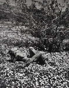 Foto de gelatina plateada desnuda Andre De Dienes 1960 arte modelo California Flowers, certificado de autenticidad - Imagen 1 de 5