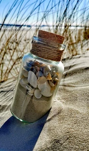 Deko maritim Muschelglas 300 ml Flasche mit Strandsand Muscheln Treibholz Ostsee - Bild 1 von 17
