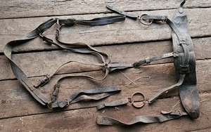Arnés de Colección Pequeño Caballo Poni Cuero Hames Collar Antigua Granja Primitivo No.2 - Imagen 1 de 10