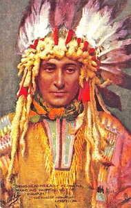 Raphael Tuck "Hiawatha" Eagle Feathers Poem Series II Postcard - Picture 1 of 2