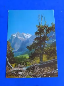 1917 postal Grindelwald con Wetterhorn bernés Oberland Suiza - Imagen 1 de 2