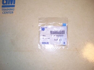 Vintage GM 10189890 Plate ASM Letter 'LS' fits 1995-1999 GM Vehicles - Picture 1 of 2