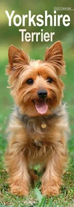 Yorkshire Terrier Slim 2026 Calendar | Dog Breed Gift 15% OFF MULTI ORDERS - Picture 1 of 8