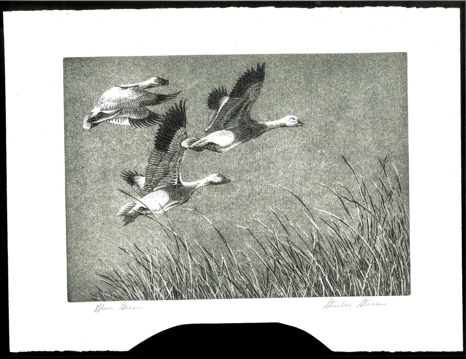 RW22 1955 FEDERAL DUCK STAMP PRINT  1st Edition Sharp image Reg $1800 - Image 1 of 1