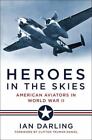 Heroes in the Skies: American Aviators in World War II