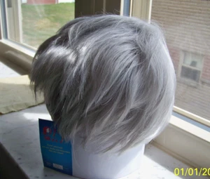 D I Y Gray Synthetic Wig - Picture 1 of 6