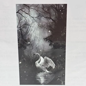 Heaven and Earth Designs Wings In Repose Cross Stitch Pattern Art By Nene Thomas - Picture 1 of 7