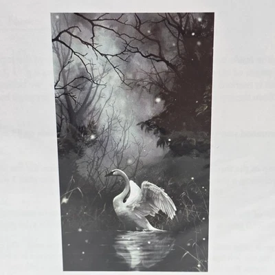 Heaven and Earth Designs Wings In Repose Cross Stitch Pattern Art By Nene Thomas - Image 1 of 4