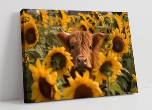 HIGHLAND COW IN SUNFLOWER FIELD LANDSCAPE CANVAS WALL ARTWORK PIC PRINT - Picture 1 of 2
