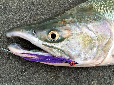 Fly Fishing Flies (Redfish, Trout, Bass, Snook) Clouser Minnow Purple (6 flies) - Image 1 of 2