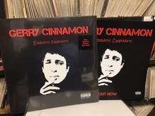 GERRY CINNAMON - ERRATIC CINEMATIC - RED VINYL LP (2019) Ltd Edition Red Vinyl