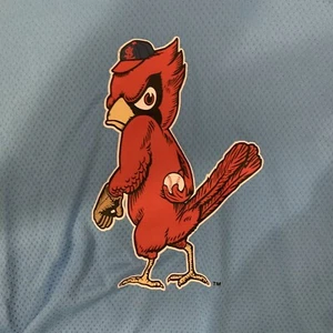 BRAND NEW Retro St. Louis Cardinals SGA Long-Sleeve Hooded Pullover Adult XL - Picture 1 of 6